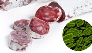 La Aesan alerta de la presencia de Salmonella en fuet de varias marcas