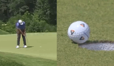Mosca "ayuda" a golfista a ganar 2 millones de dólares en insólita jugada (VIDEO)
