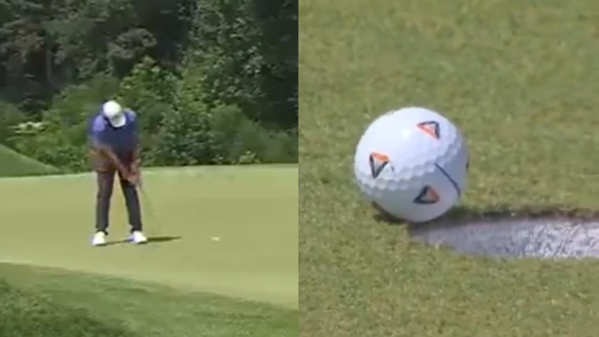 Mosca "ayuda" a golfista a ganar 2 millones de dólares en insólita jugada (VIDEO)