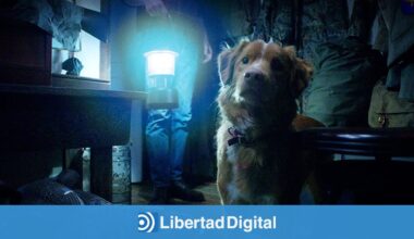 La película de terror desde el punto de vista de un perro que dispara las búsquedas un 2000% - Libertad Digital