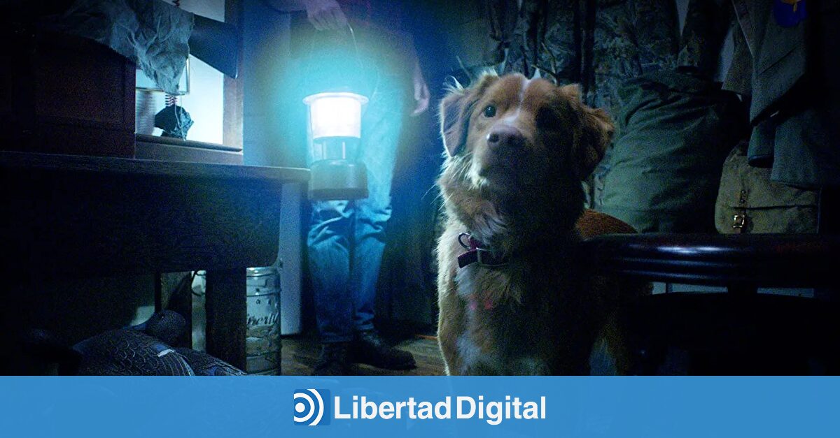 La película de terror desde el punto de vista de un perro que dispara las búsquedas un 2000% - Libertad Digital