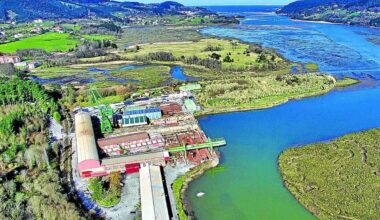 Arte conceptual foral