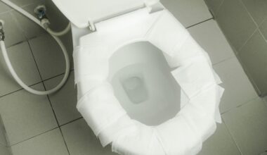 ¿Es mejor poner papel sobre el asiento de un wc público o usarlo en cuclillas? La BBC tiene la respuesta