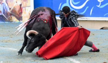 Morenito de Aranda Brilla en la Goyesca Azul de Bayona: Triunfo y Arte Taurino