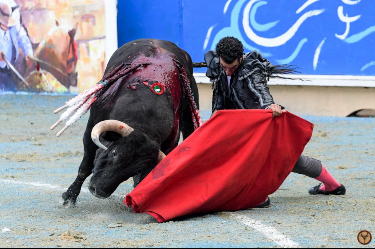 Morenito de Aranda Brilla en la Goyesca Azul de Bayona: Triunfo y Arte Taurino