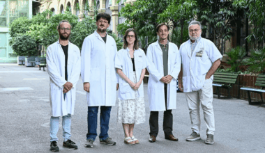 Se crea el primer atlas cerebral transdiagnóstico de los trastornos mentales