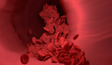 Una investigación identifica genes clave que actúan como freno en el crecimiento del cáncer de sangre