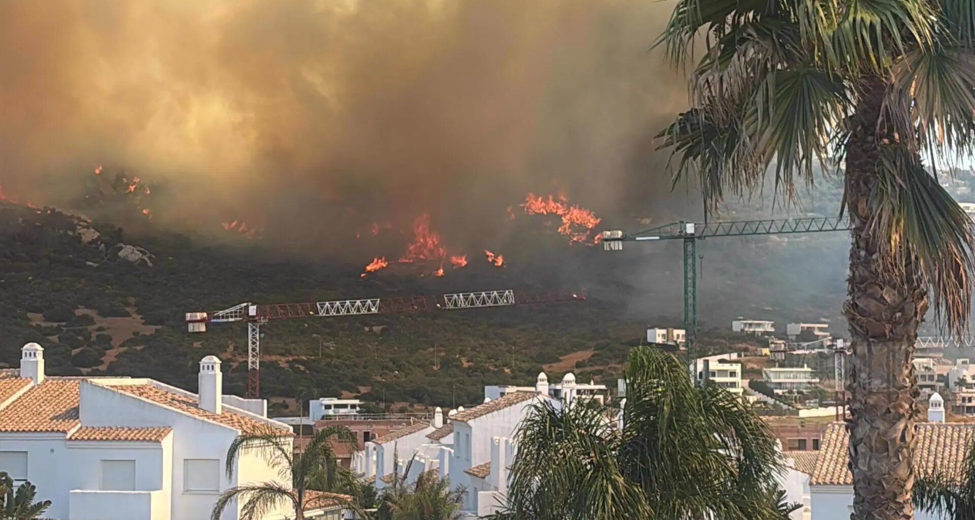 Decenas de incendios azotan España en plena ola de calor con miles de desalojados