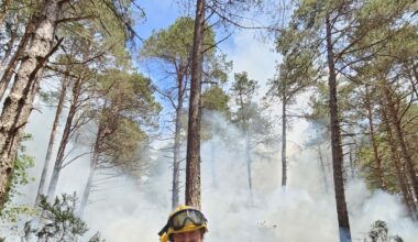 «Lo que estamos viendo hoy son sesenta años de abandono rural»
