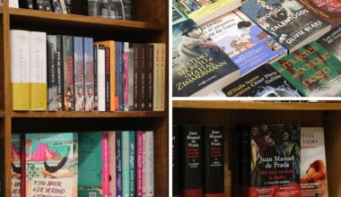 Los libros que leen los leoneses en verano