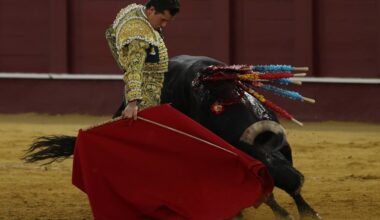 Puerta grande a la raza de Daniel Luque en Málaga en una tarde donde volvió a fallar el ganado