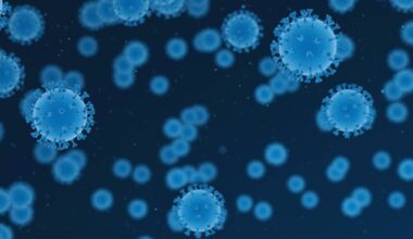El arca de los microbios: un biobanco mundial para proteger la salud del planeta
