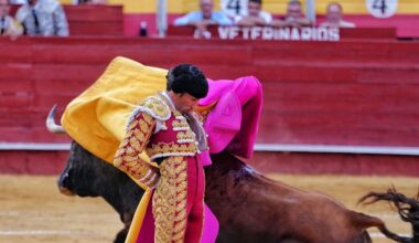 cuando un torero lo ve y, además, quieren verlo