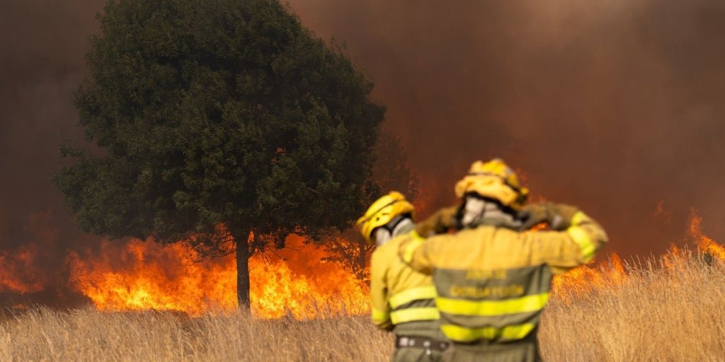 Unos 7.000 evacuados en el incendio que afecta a Zamora y León