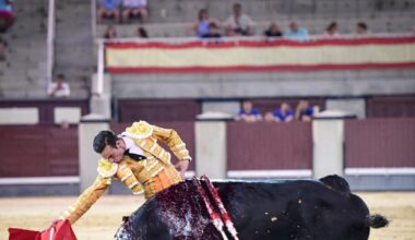 Molina deja lo más destacado en la confirmación de Lama de Góngora con una buena corrida de El Torero