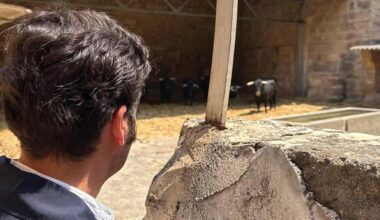 «Si los niños no lo viven, ¿quién los defenderá mañana?»