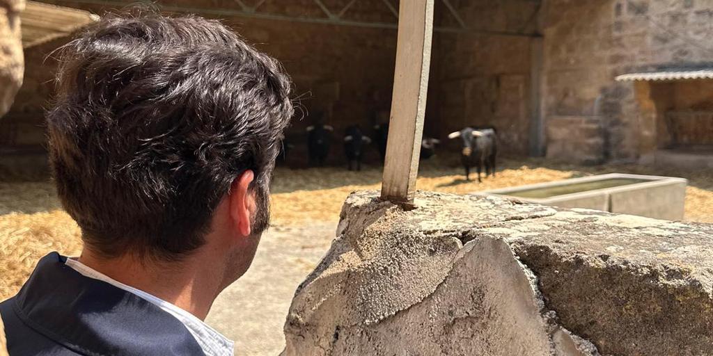 «Si los niños no lo viven, ¿quién los defenderá mañana?»