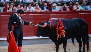 figuras, triunfadores y el compromiso de Morante