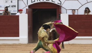 Palacio y Bastos, orejas del Nuevo Testamento