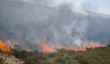 Un incendio en Maceda obligó a decretar el nivel 2 de emergencia en el pueblo de A Teixeira - La Voz de Galicia