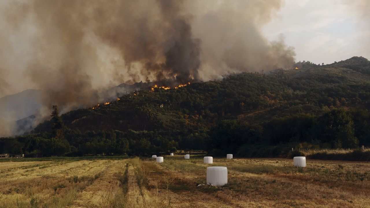 La ola de incendios avanza sin tregua en Galicia y arrasa ya 50.000 hectáreas - La Voz de Galicia