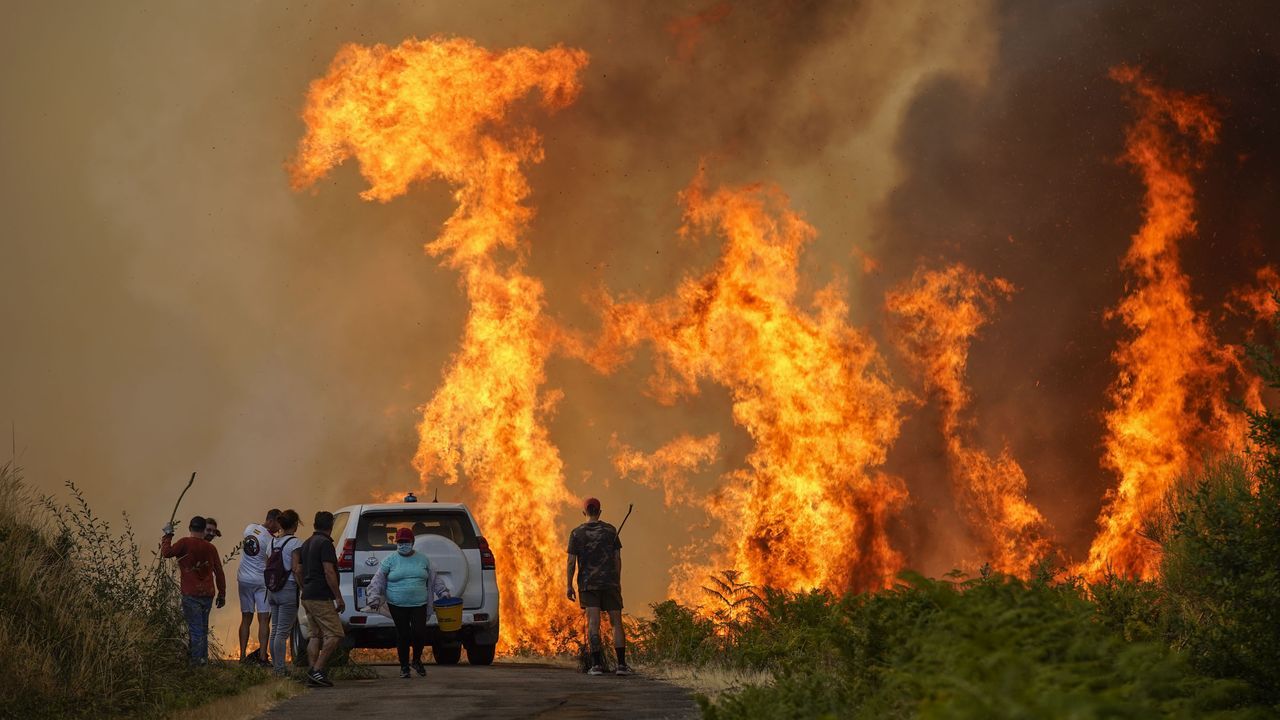 Una decena de incendios siguen activos en la provincia de Ourense con más de 62.000 hectáreas arrasadas - La Voz de Galicia