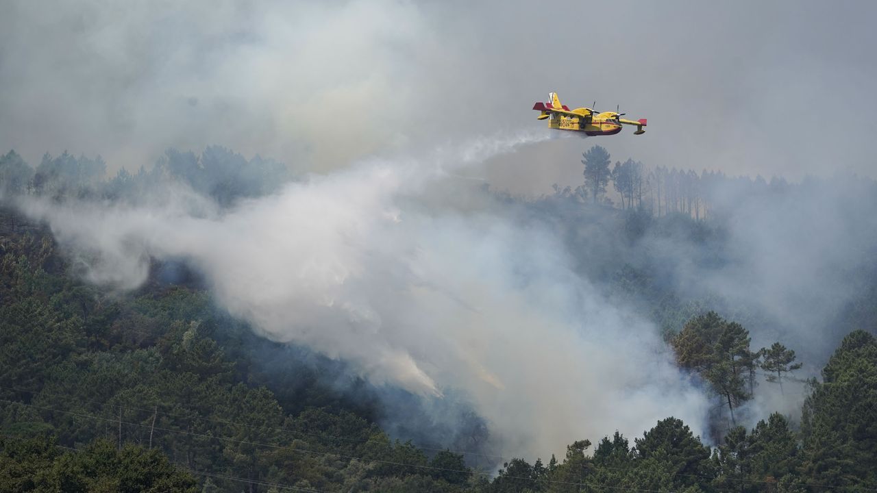 Las precipitaciones llegan a Galicia, pero no a las zonas más castigadas por el fuego - La Voz de Galicia