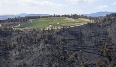 Solo dos incendios se mantienen activos en Galicia, «con una evolución favorable»