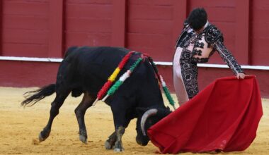 Pablo Lozano sobresale en el inicio del Certamen de Escuelas Taurinas de Málaga