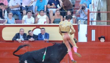 Escalofriante cogida a Aarón Palacio, colgado del pitón al entrar a matar