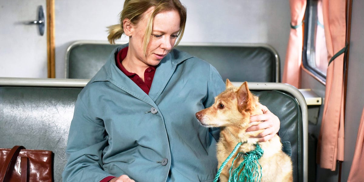 Dura solo 81 minutos, es una de las mejores películas de la década y está disponible en Filmin