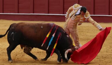 Debut triunfal en Málaga de Moral y Molina en una alternativa gris de Pablo Páez