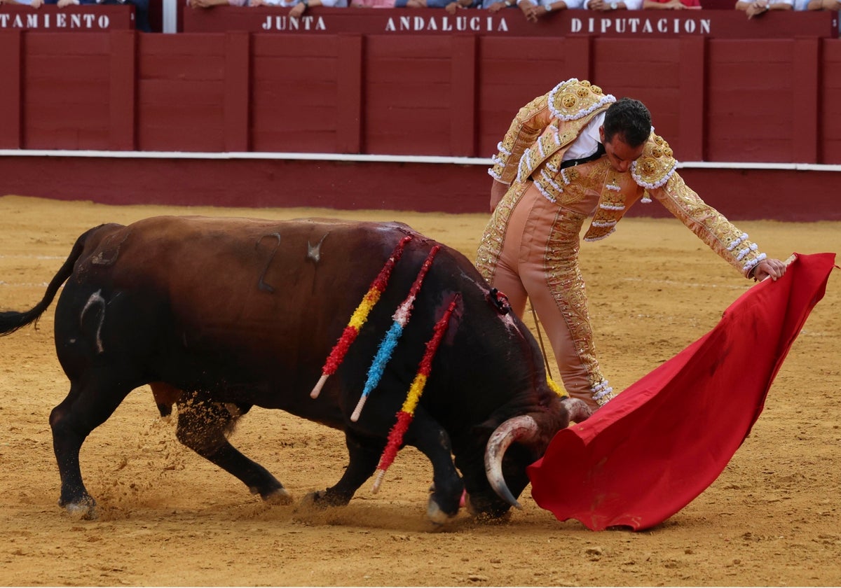 Debut triunfal en Málaga de Moral y Molina en una alternativa gris de Pablo Páez