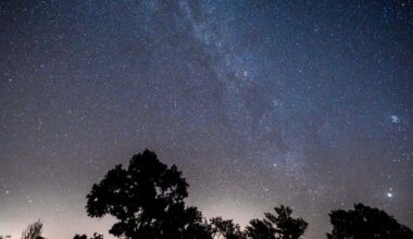 "Será la noche más espectacular de 2025"