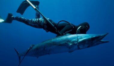 Muere un español ahogado en Bali mientras hacía pesca submarina