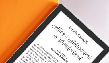este lector de 'ebooks' tiene acceso a las bibliotecas públicas