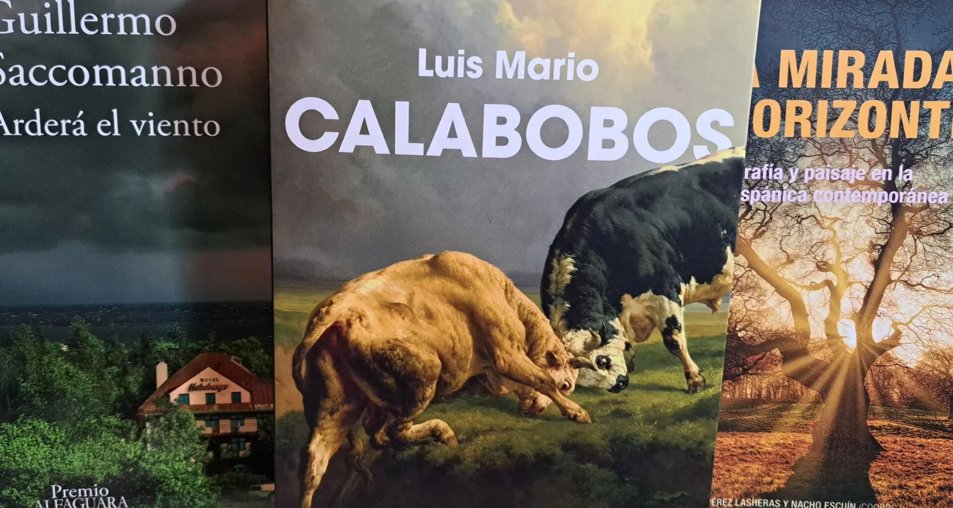 Calabobos de Luis Mario (Reservoir Books, 2025)