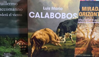 Calabobos de Luis Mario (Reservoir Books, 2025)