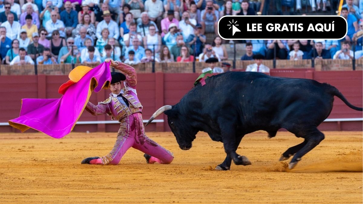 La Fundación Franz Weber pide recortar fondos a la tauromaquia y destinarlos a prevenir incendios