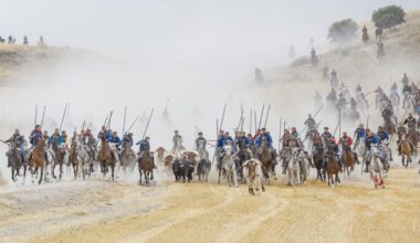 Los serios toros de Araúz de Robles protagonizan un encierro cumbre en Cuéllar
