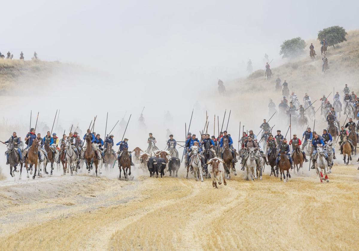 Los serios toros de Araúz de Robles protagonizan un encierro cumbre en Cuéllar