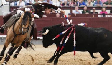 Cuánto dinero cobra un rejoneador en España por corrida en 2025: sueldos por categoría