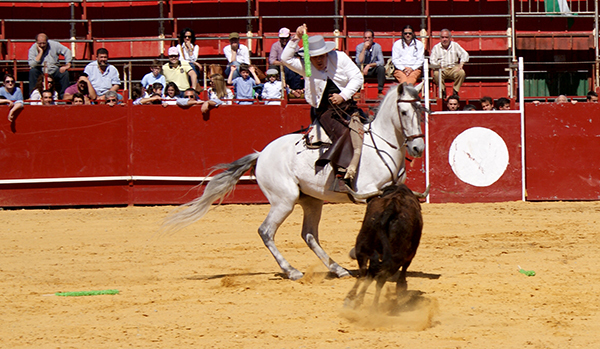 El rejoneo pone el colofón taurino a Colombinas 2025 con arte ecuestre en La Merced