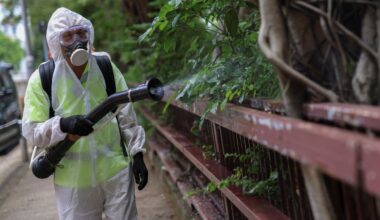 Un brote de chikunguña infecta a más de 7.000 personas en China y dispara las alarmas en el mundo - La Voz de Galicia
