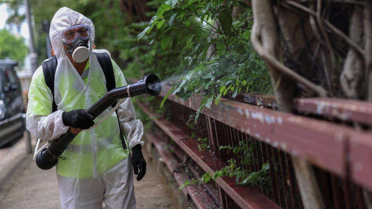 Un brote de chikunguña infecta a más de 7.000 personas en China y dispara las alarmas en el mundo - La Voz de Galicia