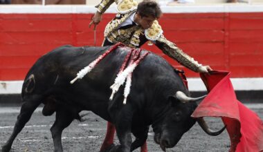 Bildu urge a abrir el debate sobre los toros en fiestas pero «respetando los ritmos en cada lugar»