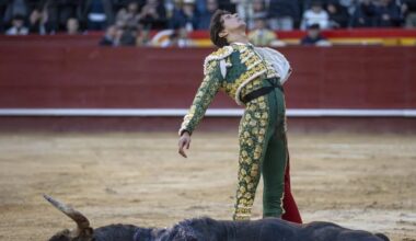 Roca Rey sufre una cogida en Huelva: «Le duele mucho»