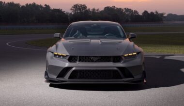 oda a la fibra de carbono