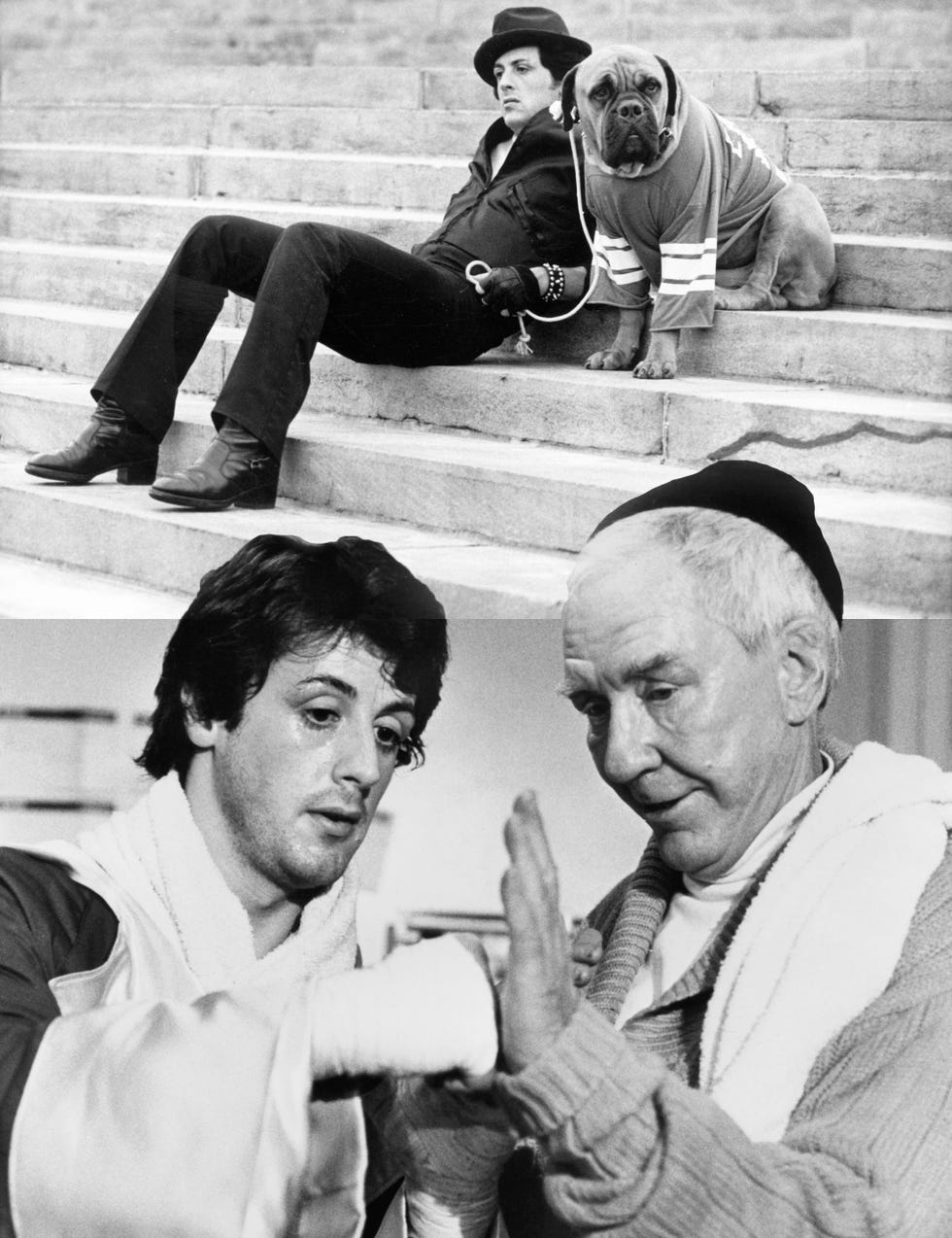 sylvester stallone actor rocky sylvester stallone actor rocky