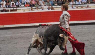 'Tapaboca', el toro indultado, se recupera ya en una finca de Córdoba